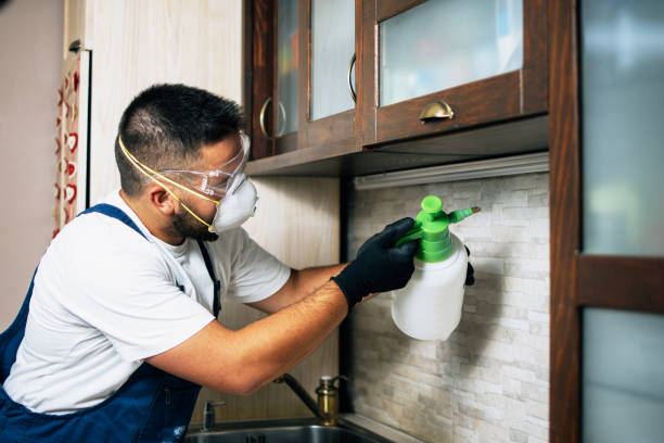 Best Emergency Pest Control  in Samoset, FL
