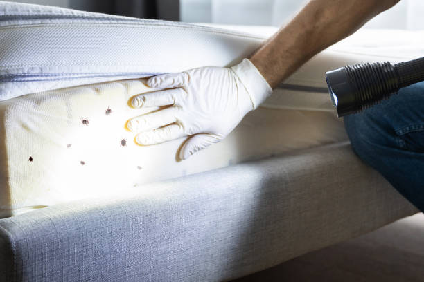 Pest Control Cost in Samoset, FL