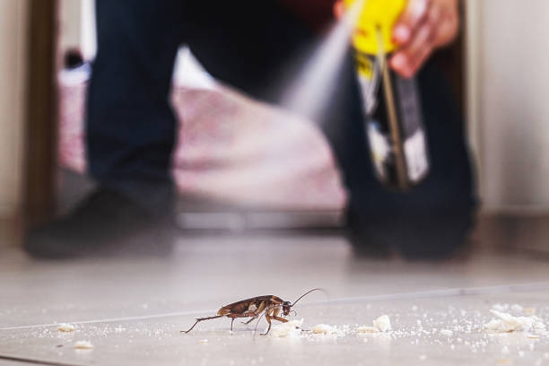 Best Pest Control Near Me in Samoset, FL