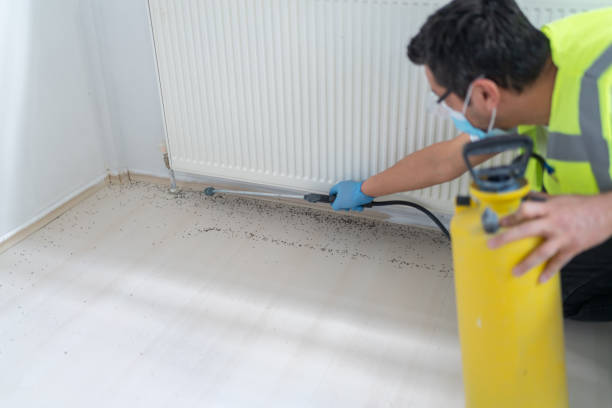 Professional Pest Control in Samoset, FL